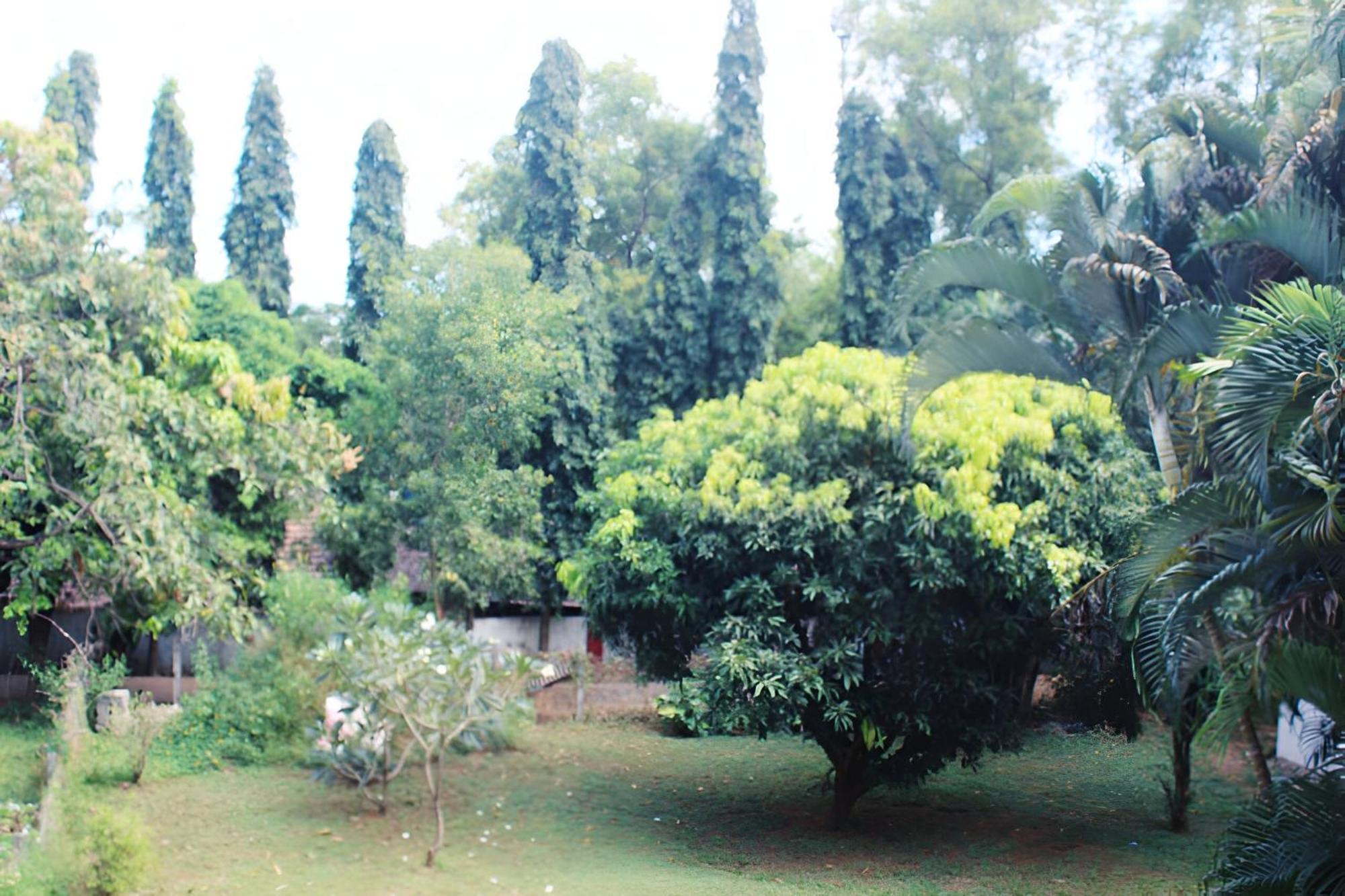 Ronne'S Little Baga Service Apartments Exterior photo